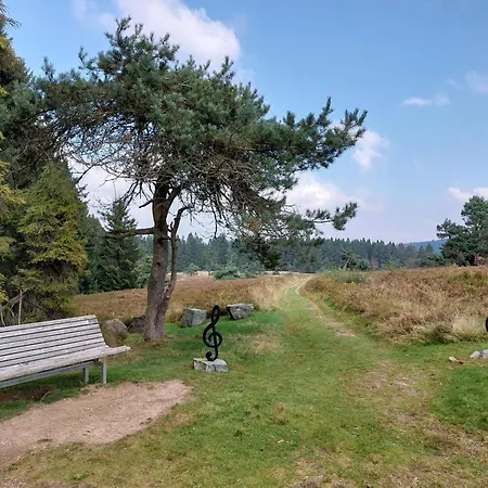 Arendt Inkl Meinecardplus Apartament